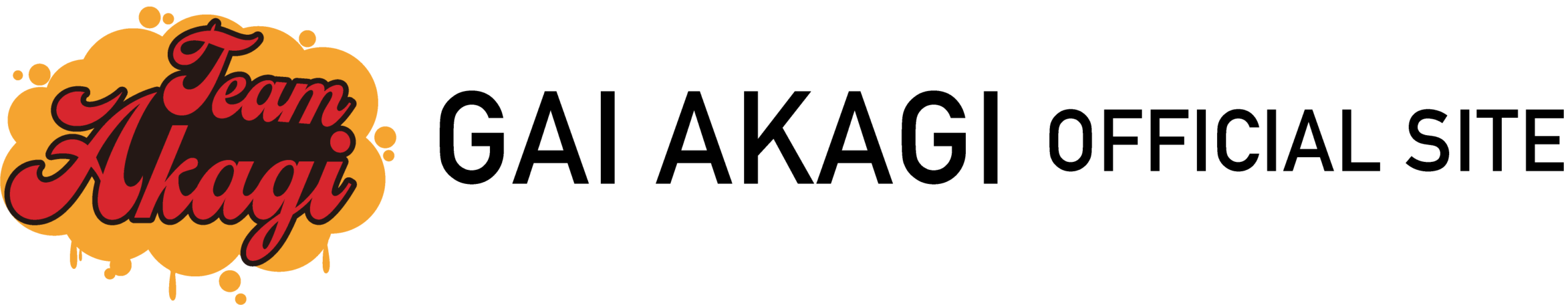 赤城凱 _公式ホームページ